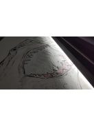 ÁRNYÉK (NAGY CÁPA) - eredeti olajfestmény