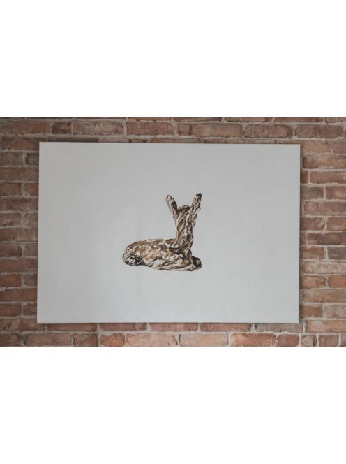 FAWN - numbered art print