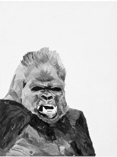 GORILLA - sorszámozott művészi nyomat