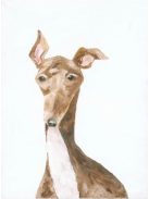 PINK EARED DOG - numbered art print