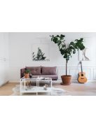 RÓZSASZÍN FÜLŰ KUTYA - sorszámozott művészi nyomat