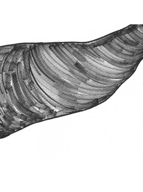 CSONTOK - sorszámozott művészi nyomat