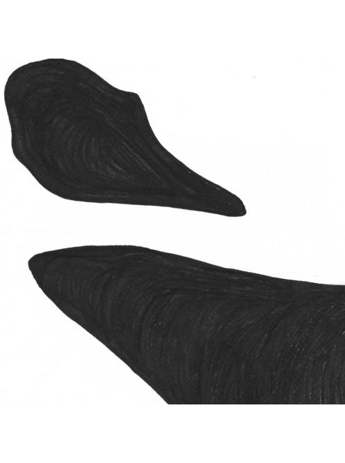 CSONTOK - sorszámozott művészi nyomat