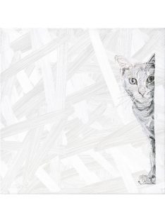 MACSKA - sorszámozott művészi nyomat